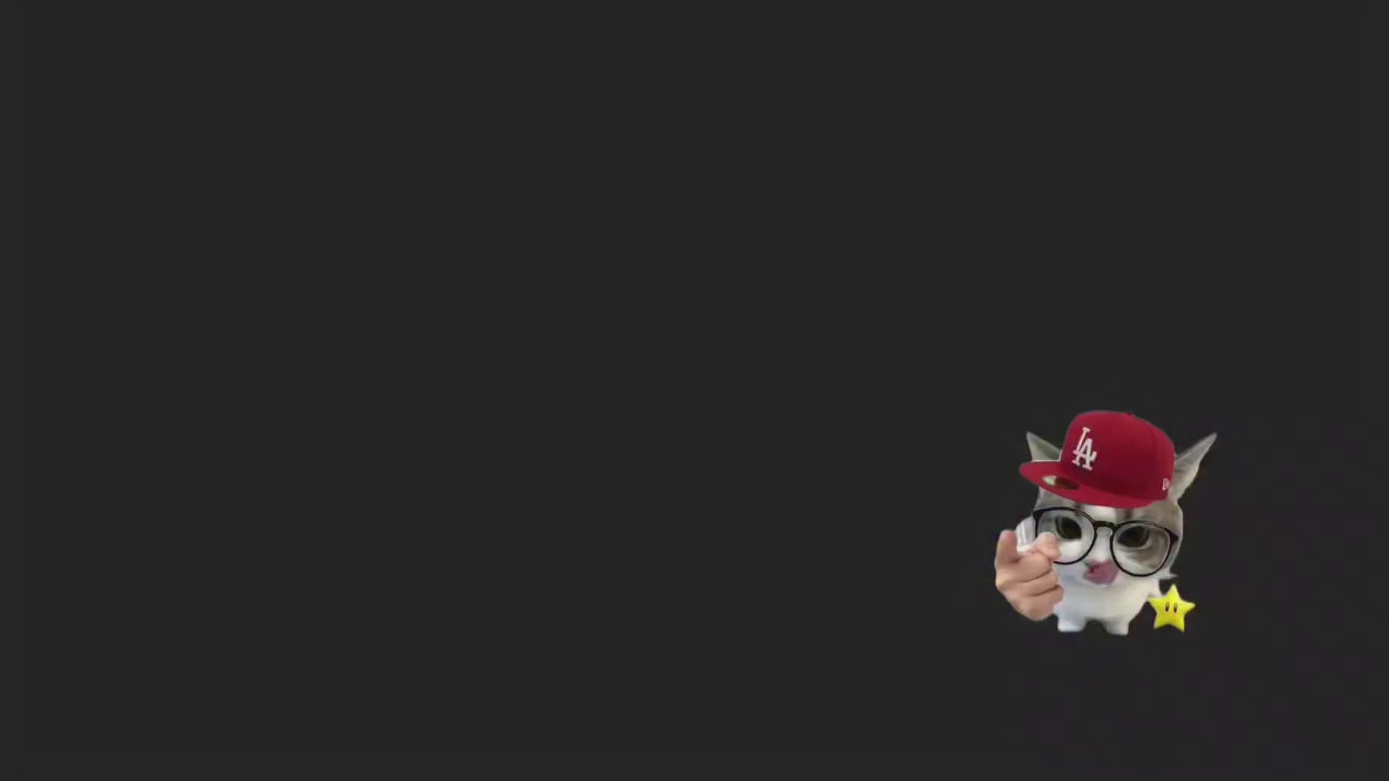 Load video: 